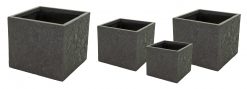 Roxy Cubi Forest S4