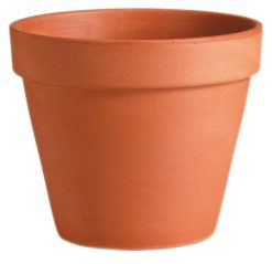 Vaso
