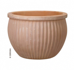 Atlas High Bowl