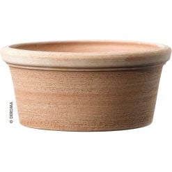 Etrusco Bowl