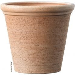 Etrusco Terracotta Pot